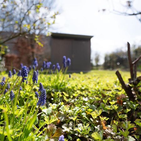 Auszeit Wormshoeft Hasselberg  Eksteriør billede